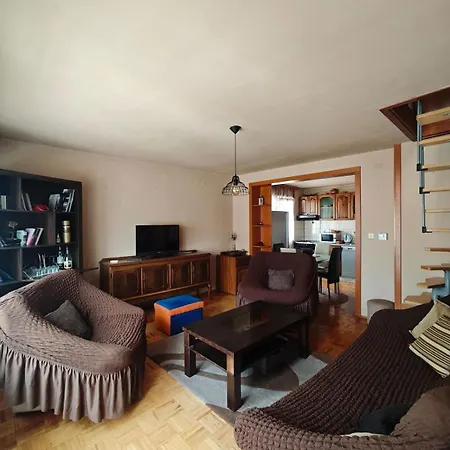 Daire Large In Velesici Private House