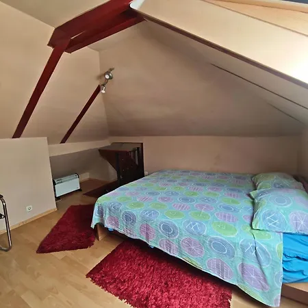 Large In Velesici Private House